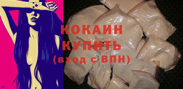 индика Волосово