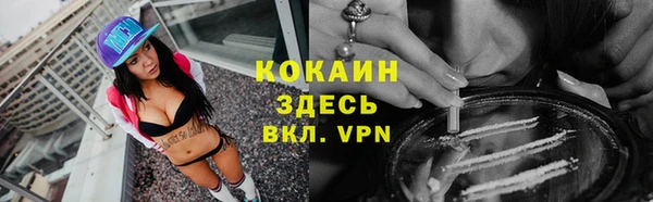 индика Волосово
