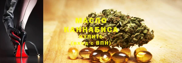 индика Волосово