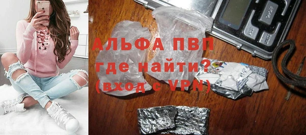 индика Волосово