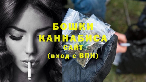 индика Волосово